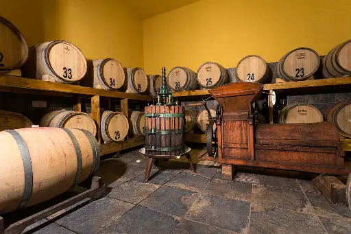 Italy, Lazio, Cantina Le Macchie - Essenza