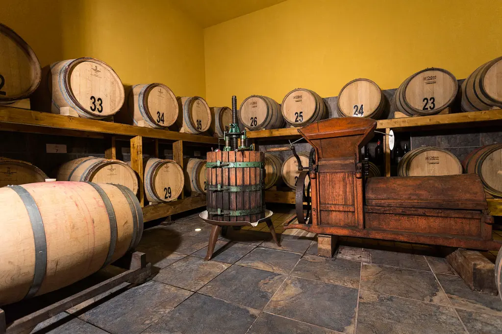 cantina-le-macchie-wine-cellar-lazio.webp