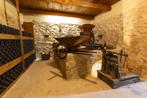 Italy, Lazio, Cantina Le Macchie - Le Origini