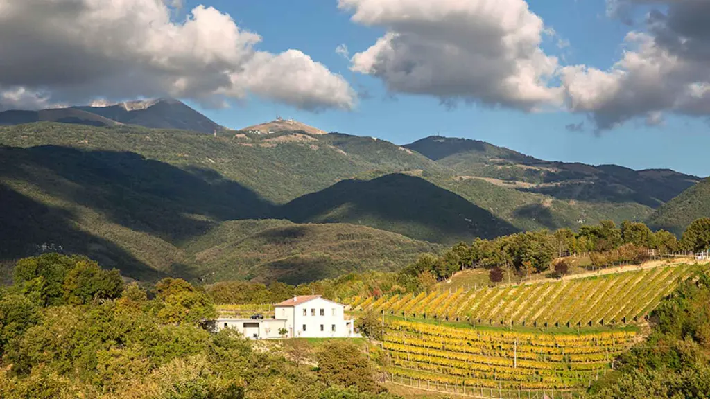 cantina-le-macchie-lazio-italy.webp