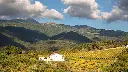 cantina-le-macchie-lazio-italy.webp