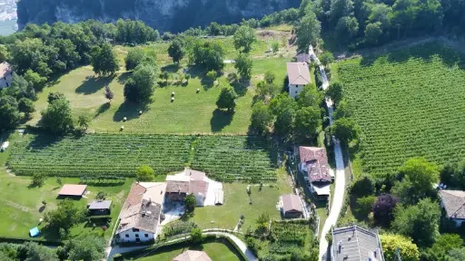 Italy, Trentino - Alto Adige, Azienda Agricola Viola - Emotions Above the Clouds