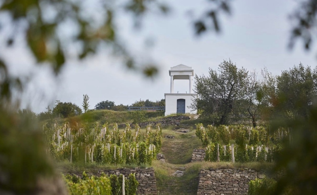 Disznókő - Wine tasting and tour at Disznókő