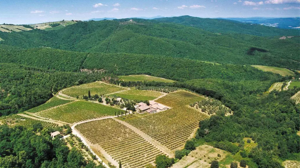 societa-agricola-canneta-tuscan-winery-italy.webp