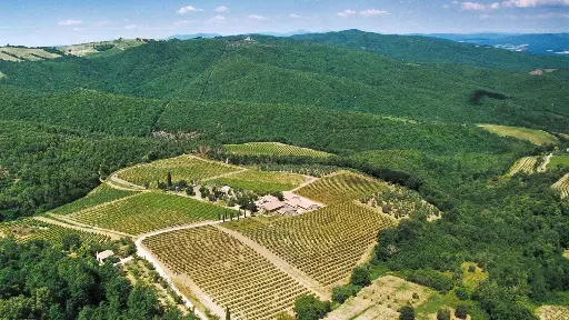 Italy, Tuscany, Societa Agricola Canneta - I Mori