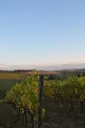 canneta-wine-experience-tuscany.webp