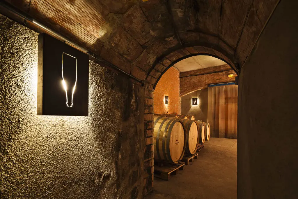 spain-catalonia-wine-tour-near-barselona.webp