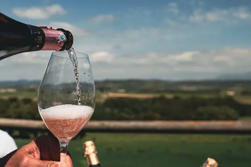 Spain, Catalonia, Penedès Cava Tasting Tour To 2 Family Wineries Near Barcelona