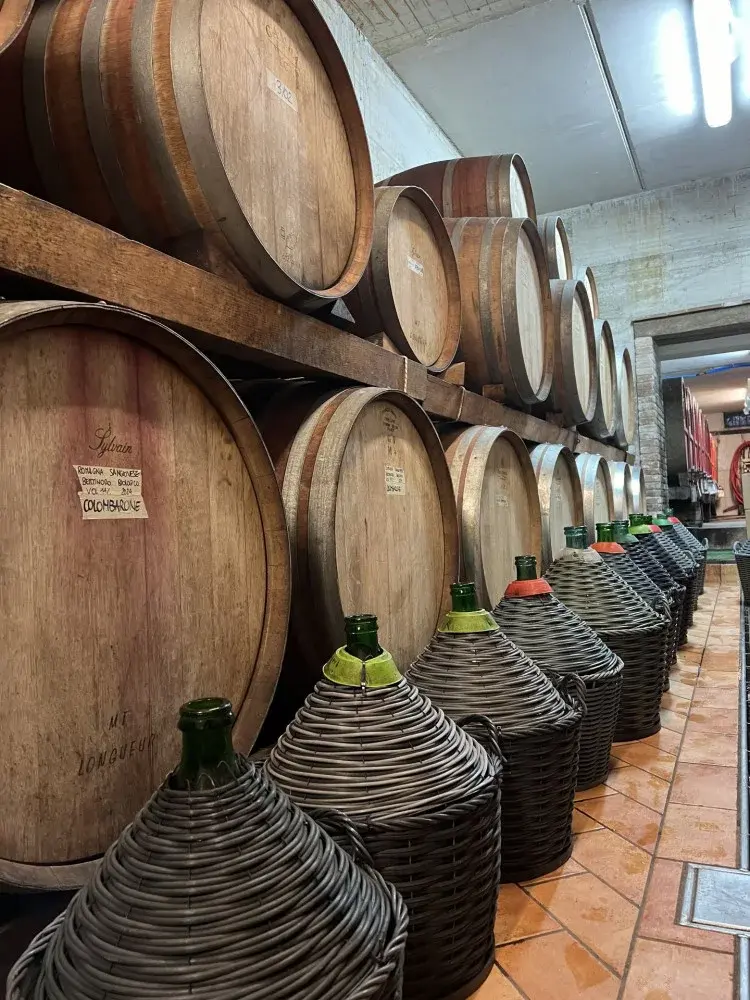 tenuta-la-viola-organic-wine-experience-emilia-romagna-italy.webp