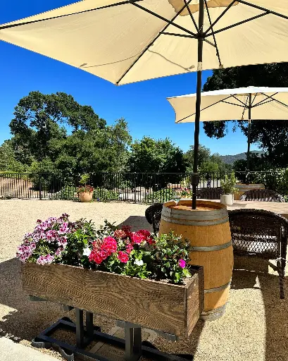 US, California, Napa Valley, Mount George Winery - The Mount George Winery Collection
