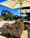 napa-mount-george-winery.webp