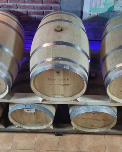 North Macedonia, Tikvesh, Wine cellar Popovi - Bed and breakfast and Wine tasting with dinner
