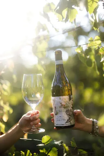 Italy, Piedmont, Fratelli Serio & Battista Borgogno - Discover the Borgogno Family's Wines