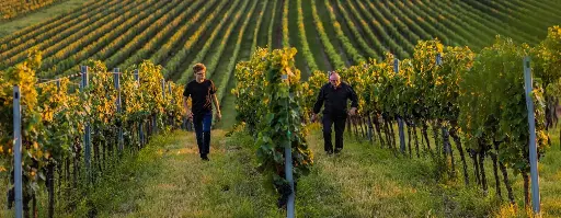 Austria, Burgenland, Sektkellerei Szigeti - Piccolo package