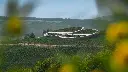 sauska-tokaj.webp