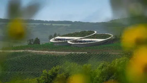 Hungary, Tokaj, Sauska - Sauska 360 Experience