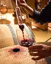 sauska-tokaj-hungary-wine-cellar .webp