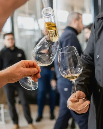 Hungary, Tokaj, Sauska - Sauska 360 Experience