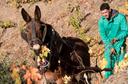 FamíliaNinOrtiz - Visit and Tasting in Our Winery