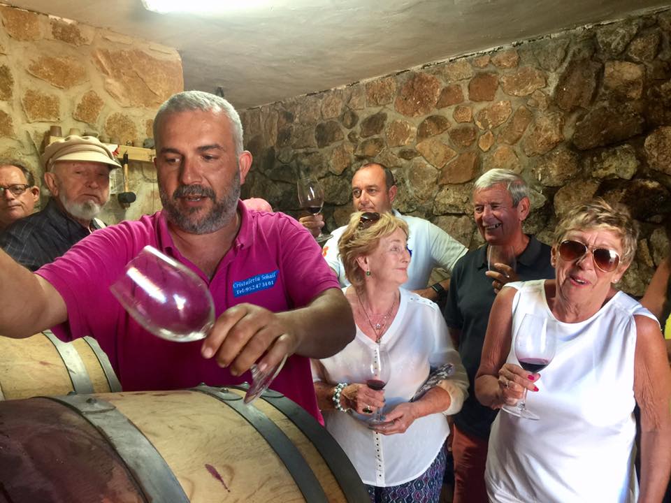 White Houses Tours - TOP WINE TOUR- Vineyard & cellar visit + 6 top wines + paired tapas