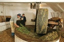 White Houses Tours - OLIVE OIL & WINE TOUR - 5 Wines+3Olive Oils