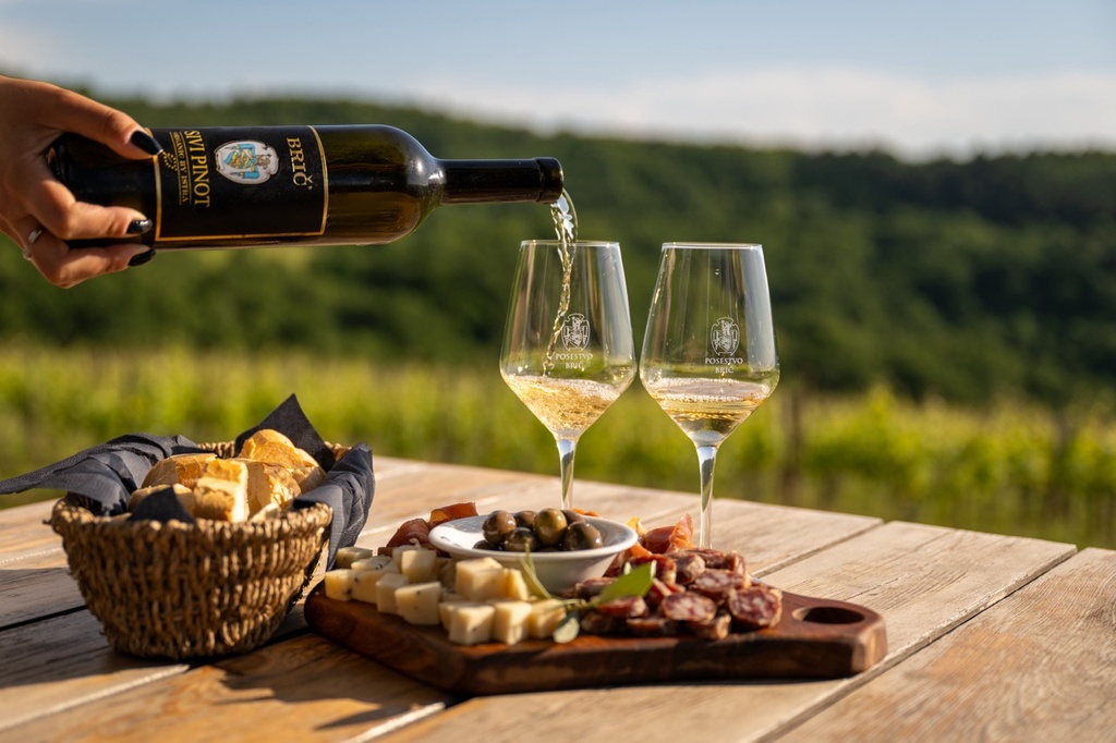 Winery Brič - Wine degustation & winery tour