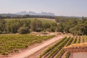 barcelona-spain-wine-tour-montserrat-brunch