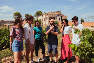 Castlexperience Wine Tours - Montserrat, Wine and Brunch