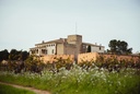 spain-barcelona-montserat-guided-wine-tour