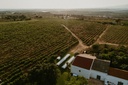 Morgado do Quintão - Farmer's Table Lunch