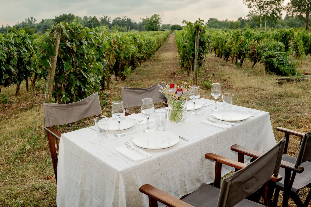 Pereira de Melo - Tapas in the vineyard (at a table or picnic)