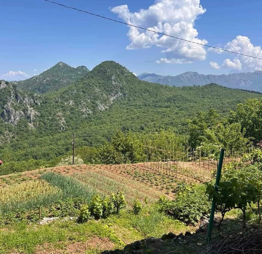 Montenegro, Skadar Lake, Kopitovic - Special Tasting