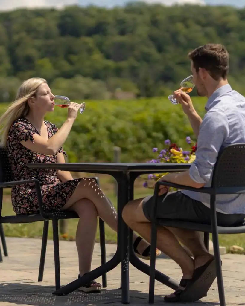 Canada, Ontario, Cave Spring Vineyard - The Cellar Experience