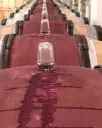 Austria, Burgenland, Weingut Umathum - Vineyard & Cellar Tour
