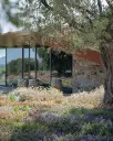 Italy, Tuscany, Tenuta Il Quinto - Light Tasting