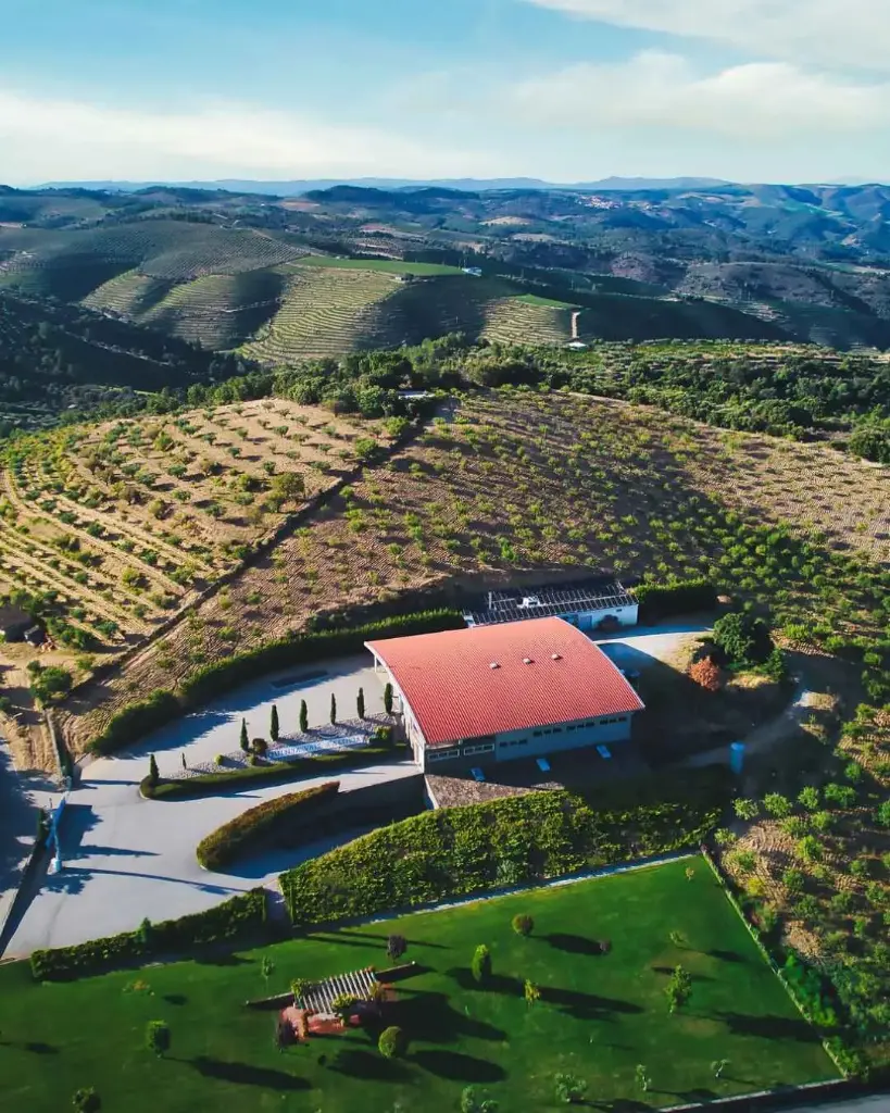 Portugal, Douro, Quinta Vale d'Aldeia - Selection