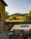 Italy, Tuscany, Livorno - Winery Tour & Wine Tasting with Food near Livorno & Pisa
