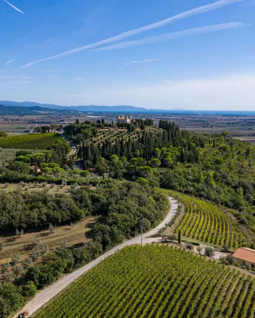 Italy, Tuscany, Livorno - Wine Tasting with Local Food Pairing near Livorno