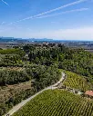 Italy, Tuscany, Livorno - Wine Tasting with Local Food Pairing near Livorno