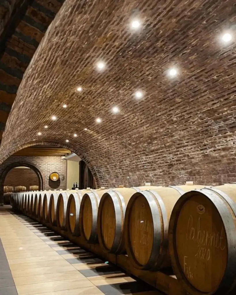 Serbia, Sumadija, Radovanovic - Classic wine tasting with snack and sightseeing of winery
