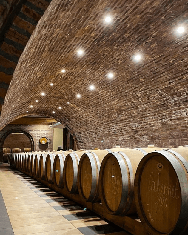 Serbia, Sumadija, Radovanovic - Classic wine tasting with snack and sightseeing of winery