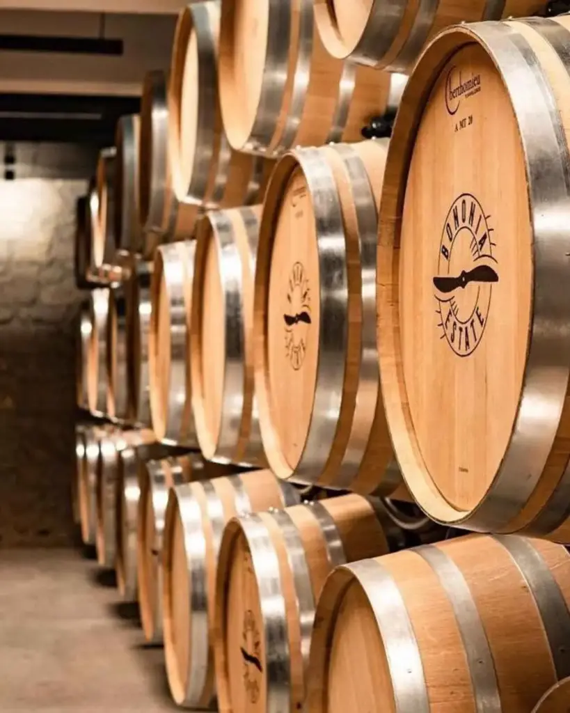 Bulgaria, Danube Plains, Bononia - Wine tasting - package 2