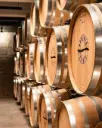 Bulgaria, Danube Plains, Bononia - Wine tasting - package 2