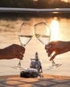 Bulgaria, Danube Plains, Bononia - Wine tasting on a yacht on the Danube