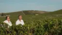 Italy, Sicily, Trapani - Winery visit & Tasting in Marsala