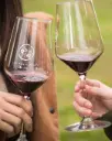 Australia, Barossa Valley, Two Hands Wines - Unearthed Singular Sites