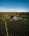 Italy, Piedmont, Pietro Cassina - Tasting with the Winemaker