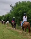 Italy, Veneto, Cantine Giacomo Montresor - Equestrian walk and Wine Tasting