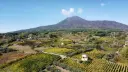 Italy, Campania, Sorrentino Vesuvio Vite Vulcaniche - Vesuvio Tasting