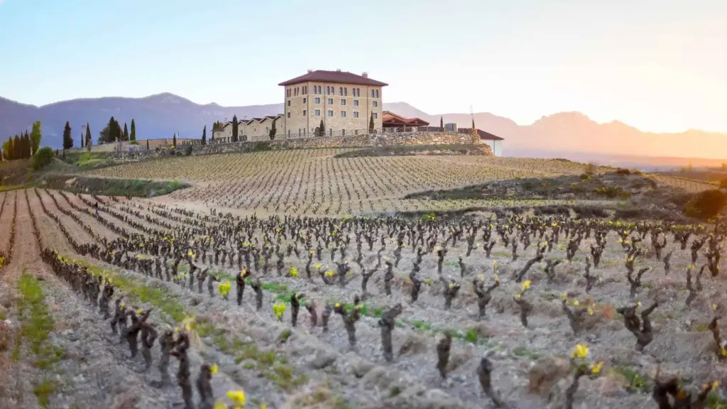 Spain, Rioja, Hacienda Lopez de Haro - Visit and Tasting